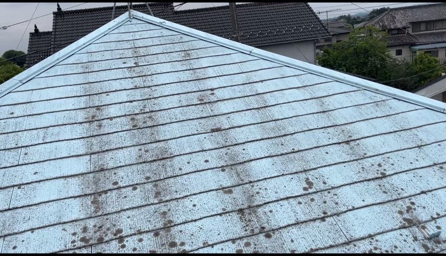 苔・カビの広がる屋根表面